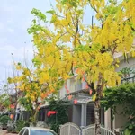 Bán nhà 3 tầng 221m2 Cẩm Thành 2 tỷ - Ảnh thu nhỏ 1