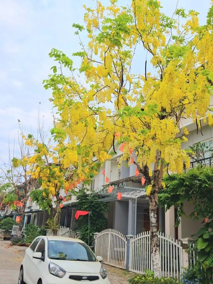 Bán nhà 3 tầng 221m2 Cẩm Thành 2 tỷ - Ảnh 1