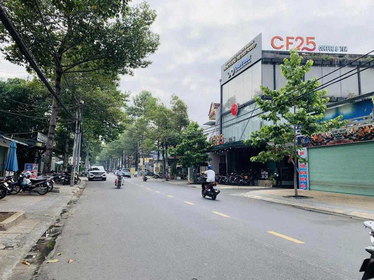 Bán nhà lầu mặt tiền kinh doanh 275m2 Trương Định Biên Hòa - Ảnh thu nhỏ 3