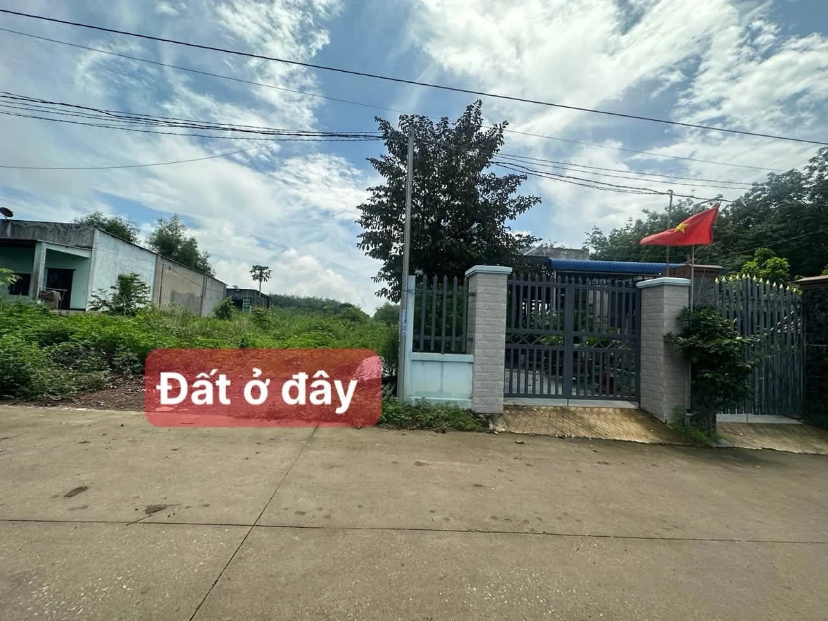 Bán lô đất sổ hồng 100m2 Phú Giáo Bình Dương - Ảnh thu nhỏ 2
