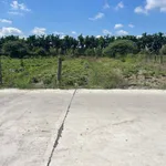 Bán đất thổ cư 5x39m giá 599 triệu tại xã Tầm Vu, Tây Ninh - Ảnh thu nhỏ 3