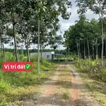 Bán đất nền 100m² Chơn Thành Đồng Nai 650 triệu - Ảnh thu nhỏ 1