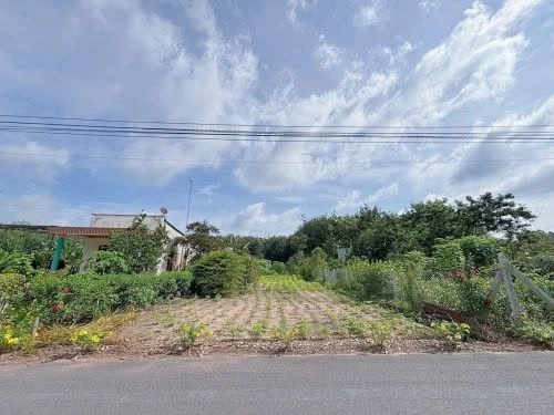 Bán nhà 4 tầng kiệt Ông Ích Khiêm gần chợ Cồn, 66m², 3 phòng ngủ, Đà Nẵng bietthu