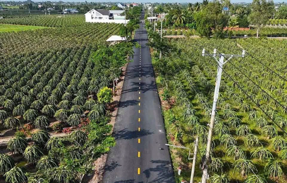 Bán đất mặt tiền Lộ Dừa 200m² Tây Ninh - Ảnh thu nhỏ 2