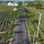 Bán đất mặt tiền Lộ Dừa 200m² Tây Ninh - Ảnh thu nhỏ 2