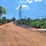 Bán 5 sào (5350m2) đất Tân Xuân Bình Phước 5 tỷ - Ảnh thu nhỏ 2