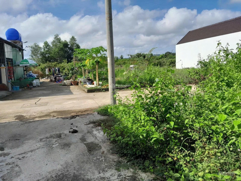 Chính chủ cần bán lô đất đẹp 108m² tại Ấp Cây Thông Trong, Xã Cửa Dương, TP Phú Quốc, Kiên Giang - Ảnh thu nhỏ 2