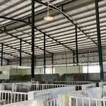 Bán nhà xưởng lò mổ gia cầm 28.000m2 Trảng Bom, Đồng Nai - Ảnh thu nhỏ 4