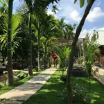 Bán vườn nghỉ dưỡng 903m2 có ao hồ, cây ăn trái tại Phường Tân An, Thủ Dầu Một, Bình Dương - Ảnh thu nhỏ 4