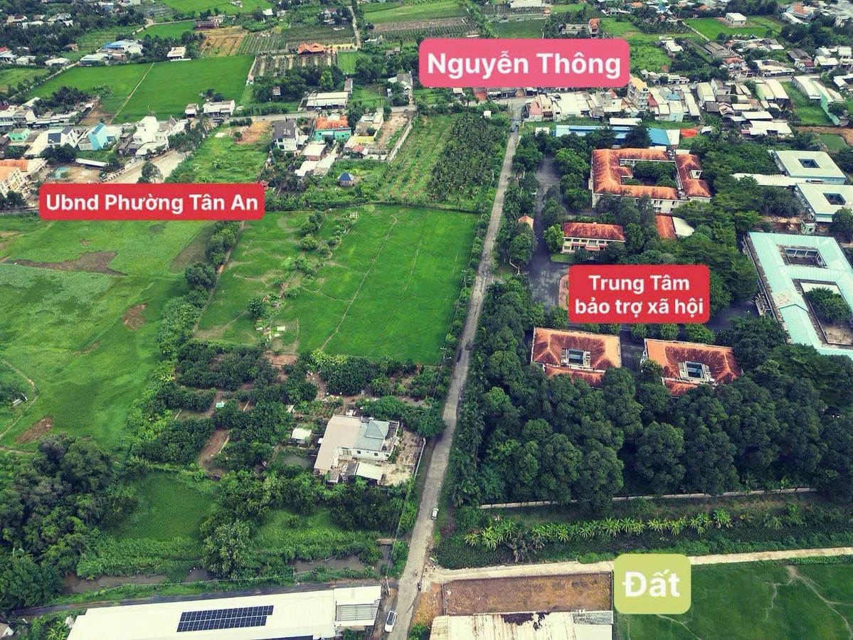 Bán đất mặt tiền đường Đỗ Tường Tự, gần 400m², Phường Tân An, Tây Ninh - Ảnh thu nhỏ 3