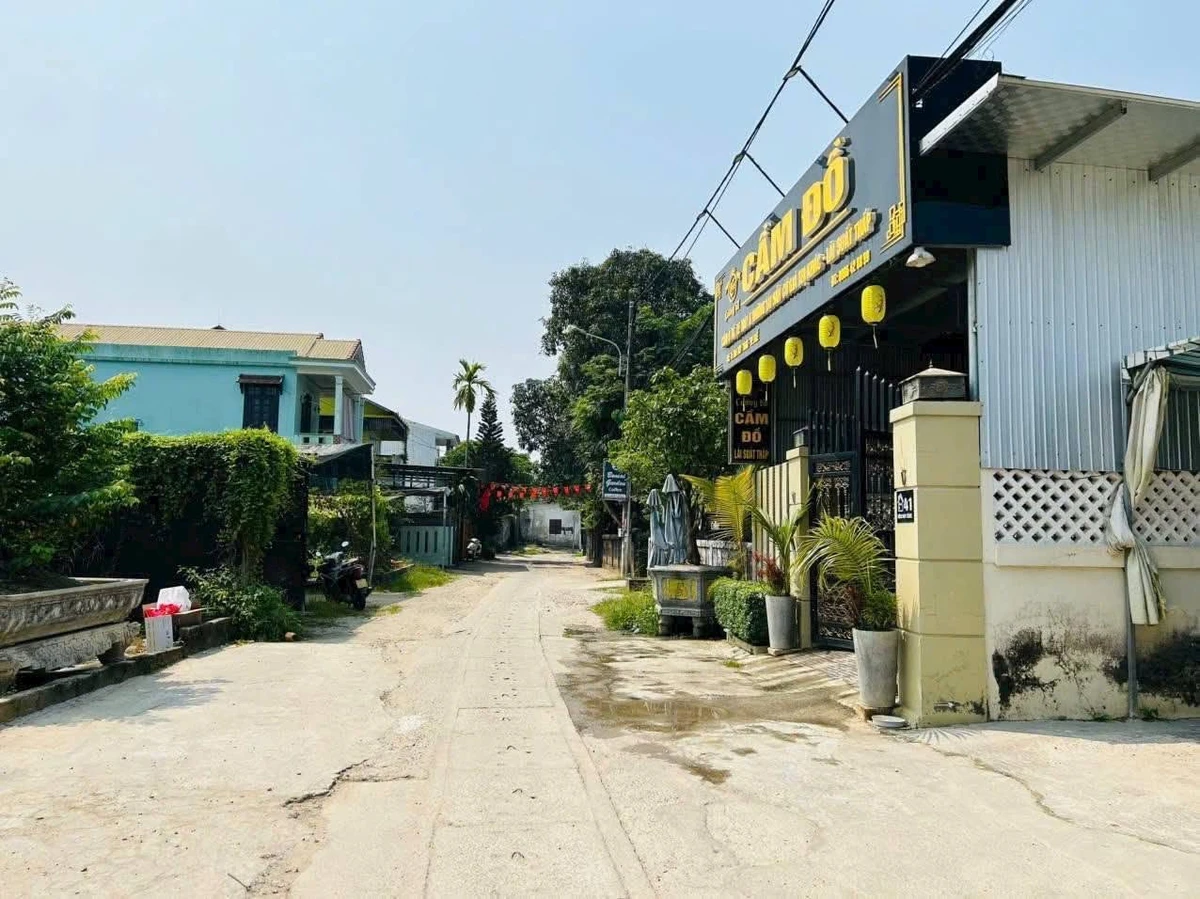 Bán đất 141m2 mặt tiền Đào Duy Tùng, Huế - Ảnh thu nhỏ 2