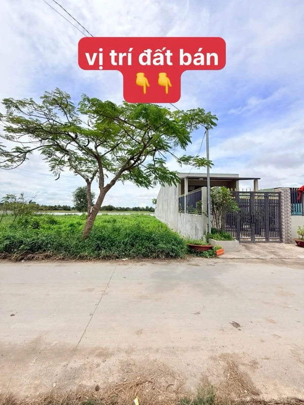 Bán đất thổ cư 196,8m² mặt tiền Mỹ Yên, Bến Lức