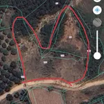 Văn Thủy 2 Cam An Khánh Hòa | hơn 5.000m2 | chỉ 150 triệu/sào - Ảnh thu nhỏ 3