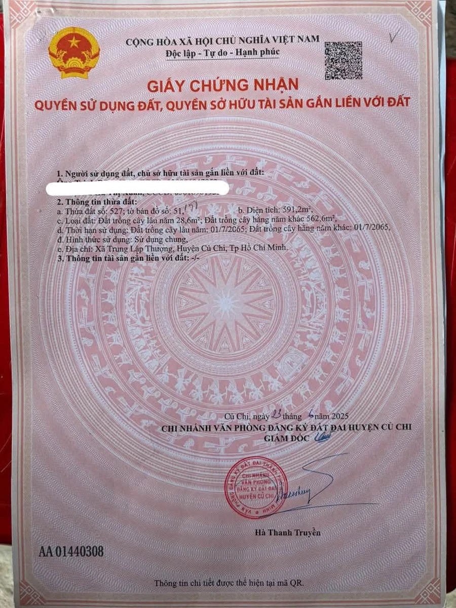 Bán đất vườn có thổ cư 600m2 ngang 14m tại Thái Mỹ, Củ Chi - Ảnh thu nhỏ 2
