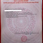 Bán đất vườn có thổ cư 600m2 ngang 14m tại Thái Mỹ, Củ Chi - Ảnh thu nhỏ 2