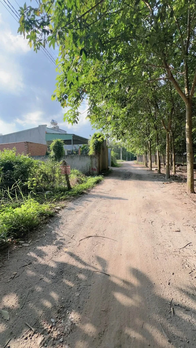 Bán đất mặt tiền 150m² (80m² thổ cư) Hòa Lợi gần Richhome 2, giá khoảng 1,1 tỷ - Ảnh thu nhỏ 5