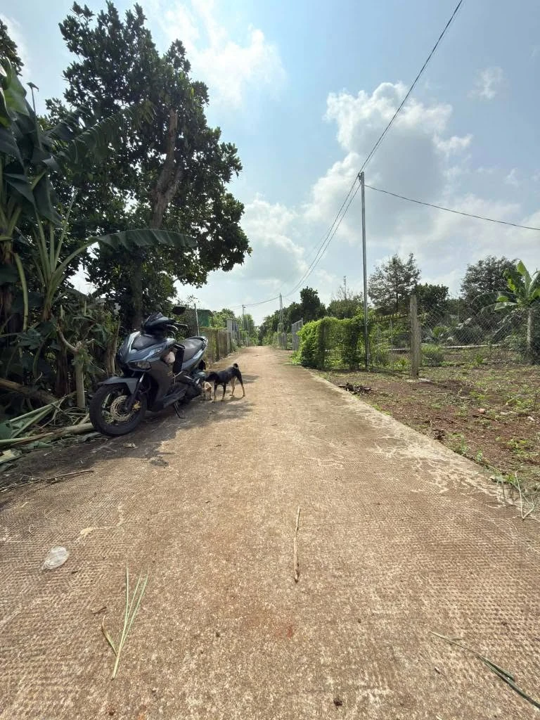 Bán đất vườn 500m² Bảo Vinh, Đồng Nai, 1 tỷ 090 triệu - Ảnh thu nhỏ 3