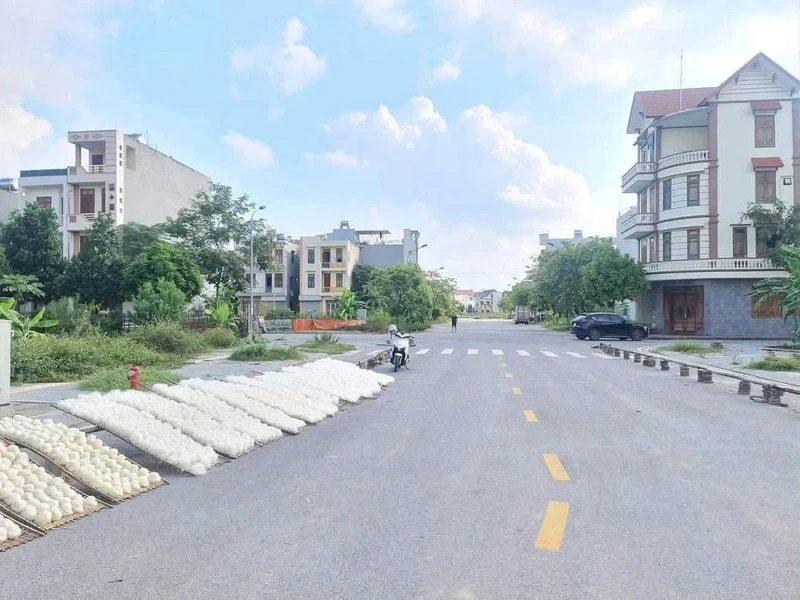 Bán đất 61.9m² mặt tiền 4.5m Lộ Cương Hải Phòng