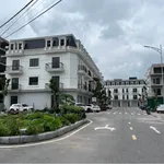Bán lô góc 2 mặt tiền Thành Yên 80m² Bình Chánh - Ảnh thu nhỏ 1