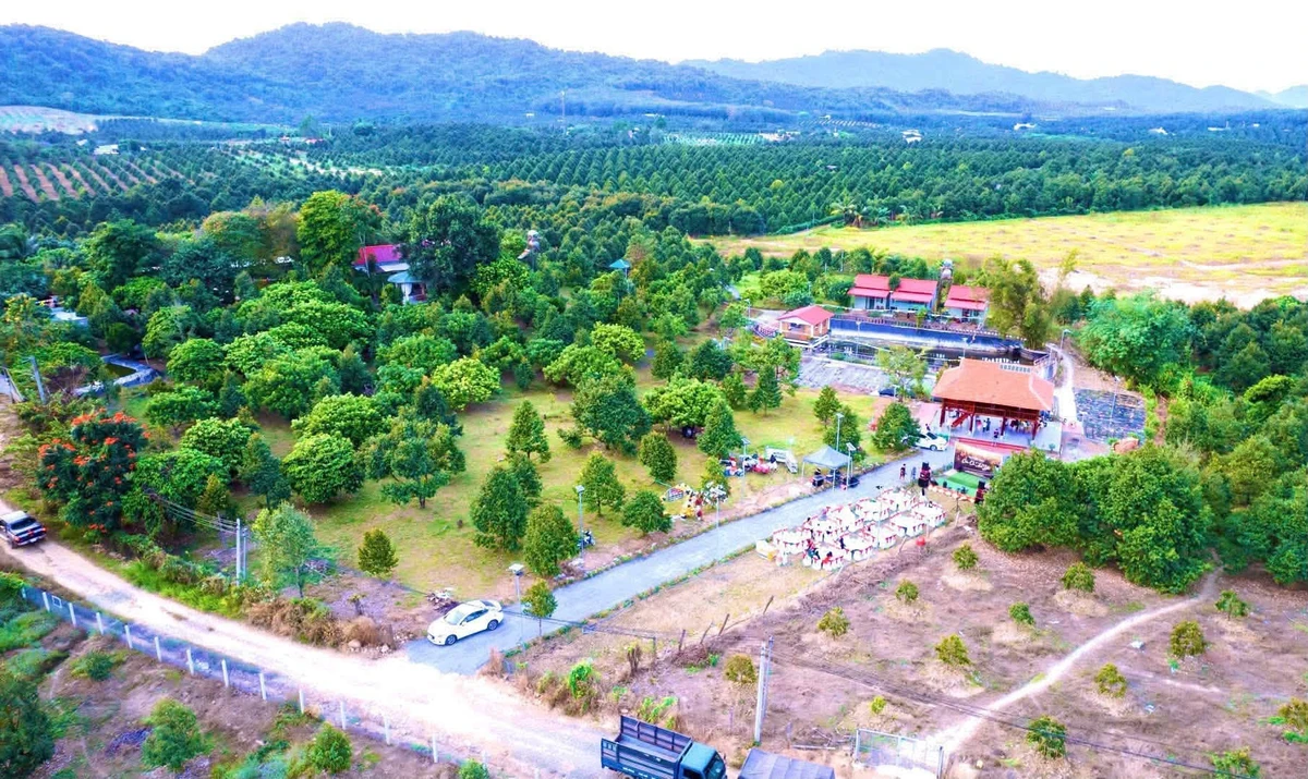 Bán đất nông nghiệp 25.000m2 Nam Cát Tiên Đồng Nai, 450 cây sầu riêng - Ảnh thu nhỏ 5