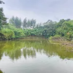 Bán đất vườn 1.800m² tại Yên Thế, Bắc Ninh, giá 1 tỷ - Ảnh thu nhỏ 2