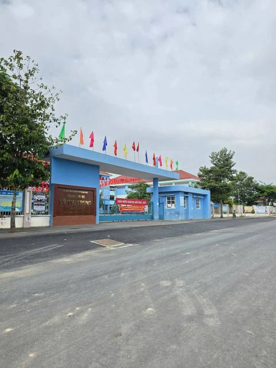 Bán đất mặt tiền Bình Chuẩn 100m² kinh doanh Thuận An - Ảnh thu nhỏ 2