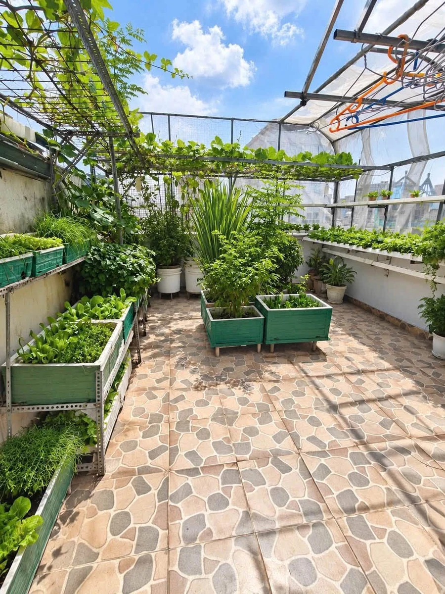 Bán shophouse mặt tiền Đường Nhựa Quận 12, 5 phòng, 7,999 tỷ - Ảnh thu nhỏ 4