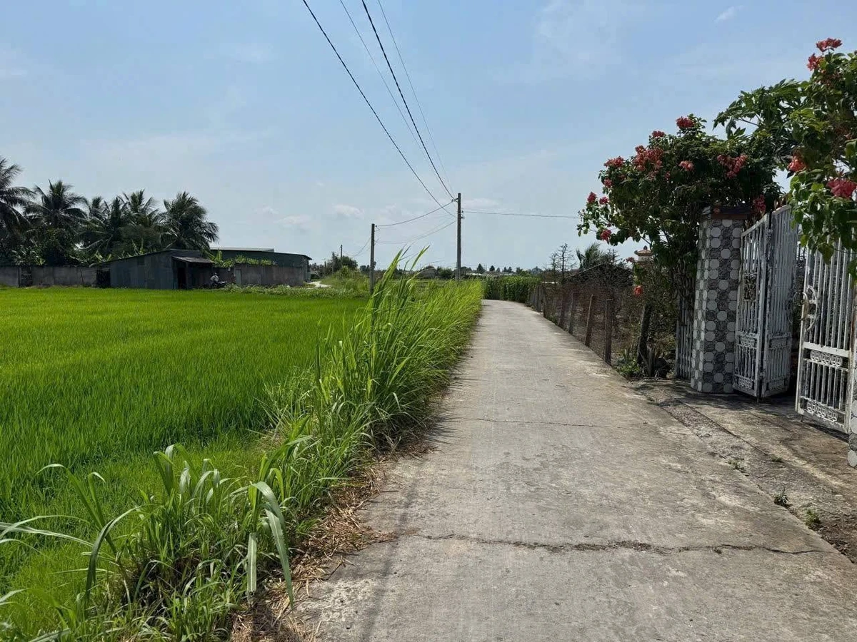 Bán đất thổ cư 100% 150m² giá 399 triệu Tân Trụ Long An - Ảnh thu nhỏ 4