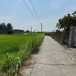 Bán đất thổ cư 100% 150m² giá 399 triệu Tân Trụ Long An - Ảnh thu nhỏ 4