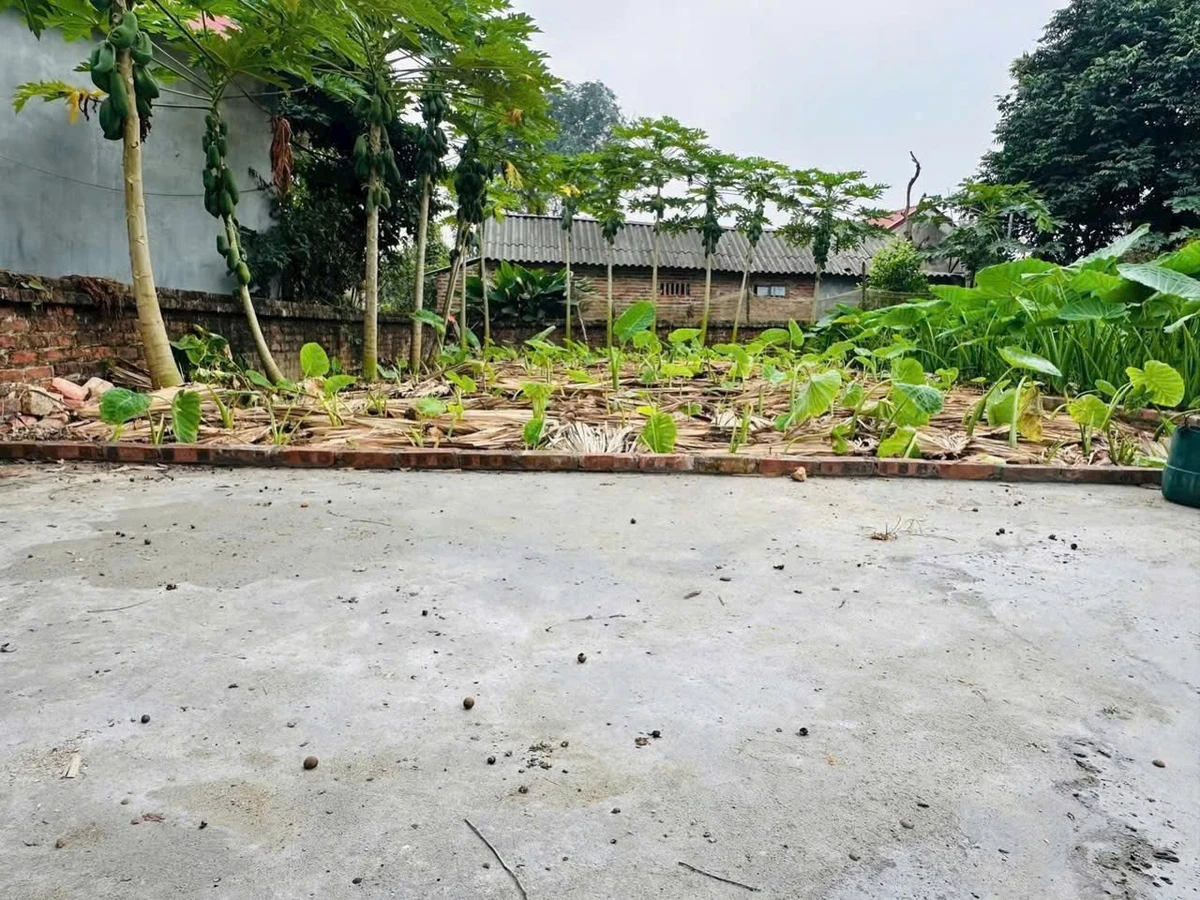 Bán lô đất 106m Hoà Lạc, Hà Nội, giá hơn 1 tỷ - Ảnh thu nhỏ 2