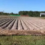 Bán đất 4.200m² Tây Ninh, giá 3 tỷ 900 triệu - Ảnh thu nhỏ 1
