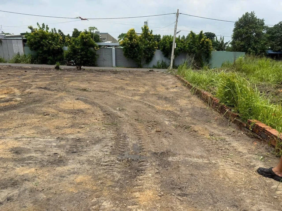 Bán 4 lô đất sổ riêng Trảng Dài, Đồng Nai, 130m² - Ảnh thu nhỏ 3