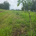 Bán đất 1.3ha Thiện Hưng Đồng Nai view suối - Ảnh thu nhỏ 5