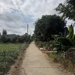 Bán đất cây lâu năm tại Cồn Bà Hoà Xã Bình Thạnh Huyện Châu Thành AG - Ảnh thu nhỏ 3