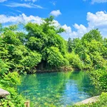 Bán nhà cấp 4 view suối 132m² 780 triệu Long Khánh - Ảnh thu nhỏ 3
