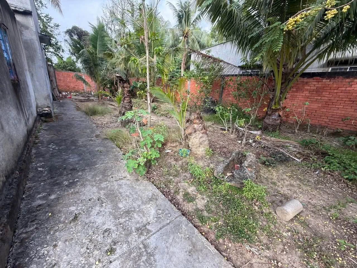 Bán đất vườn 543m² Xã Phú Hưng Bến Tre 940 triệu - Ảnh thu nhỏ 4