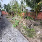 Bán đất vườn 543m² Xã Phú Hưng Bến Tre 940 triệu - Ảnh thu nhỏ 4