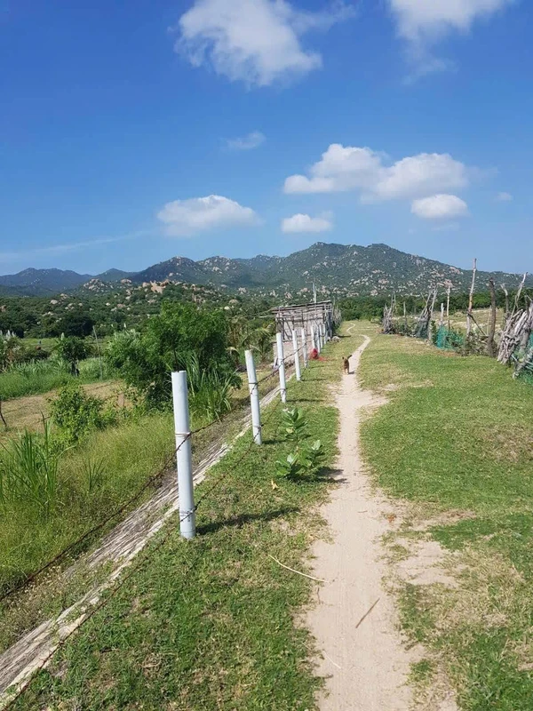 Bán đất ven biển Mũi Dinh Khánh Hòa 3000m2 600 triệu