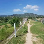 Bán đất ven biển Mũi Dinh Khánh Hòa 3000m2 600 triệu - Ảnh thu nhỏ 1