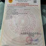 Bán đất góc 2 mặt thoáng 80m² Phú Nghĩa Hà Nội - Ảnh thu nhỏ 5