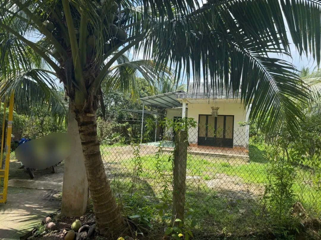 Bán nhà và đất 1000m² giá 750 triệu Tân Thạch - Ảnh thu nhỏ 3