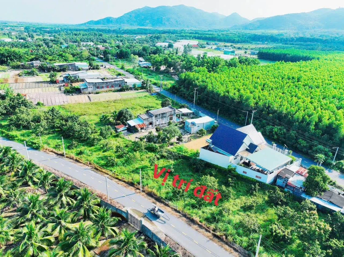 Bán đất 211m2 Phước Hải Khánh Hòa 1 tỷ 980 - Ảnh thu nhỏ 2