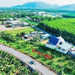 Bán đất 211m2 Phước Hải Khánh Hòa 1 tỷ 980 - Ảnh thu nhỏ 2