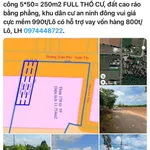 Bán đất nền 250m2 mặt tiền Xuân Phú Xuân Tây, Đồng Nai 990 triệu - Ảnh thu nhỏ 1