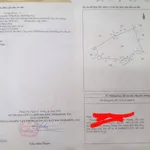Bán đất rẩy 1,8 héc tại Trảng Bom, Đồng Nai - Ảnh thu nhỏ 5
