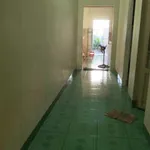 Bán nhà hẻm Ngô Quyền 8x29m, 120m² thổ cư, 1tỷ1 Long Hoa - Ảnh thu nhỏ 4