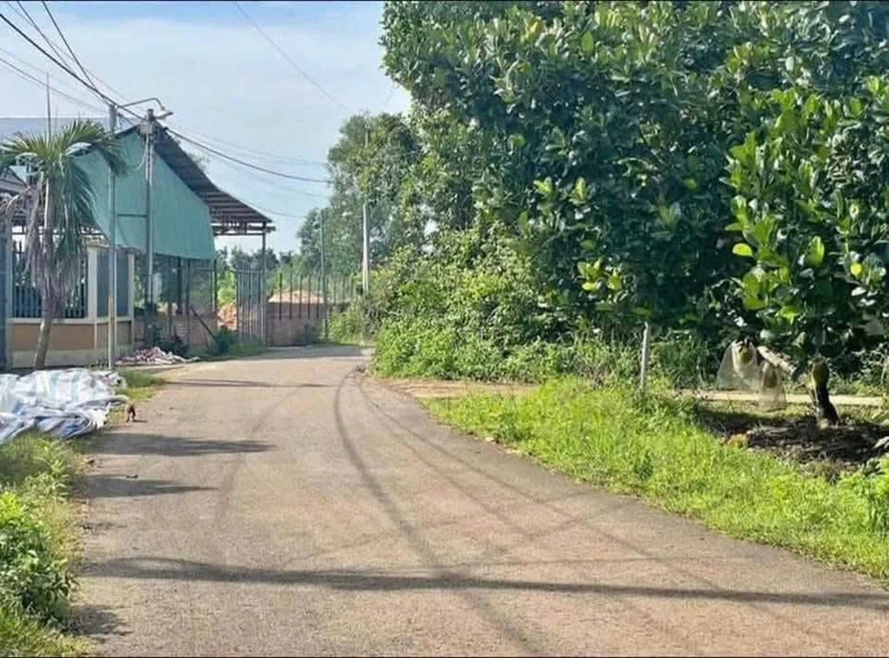 Bán đất vườn 1000m² tại Đồng Nai, gần KCN Becamex