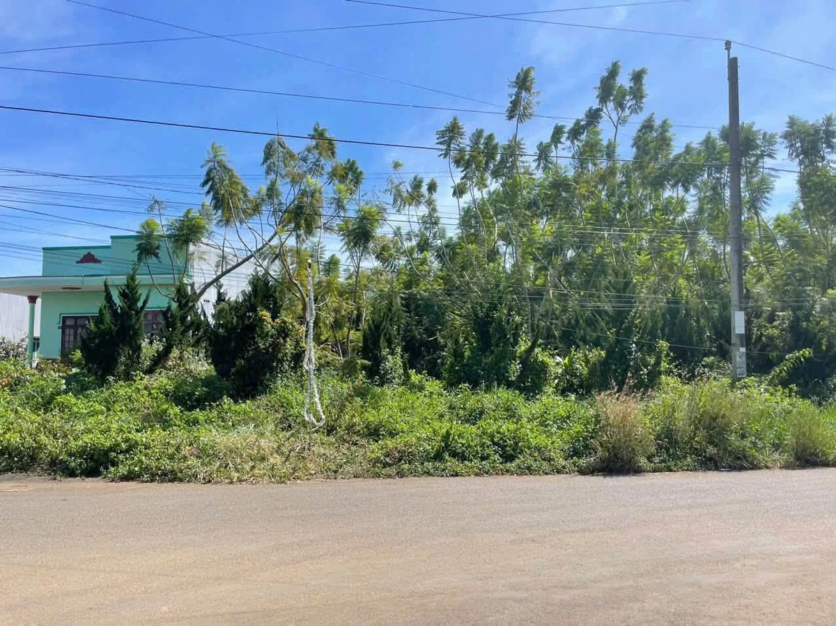 Bán đất 3.367m² mặt tiền 30,6m tại Lộc Tiến, Bảo Lộc 11,5 tỷ - Ảnh thu nhỏ 3
