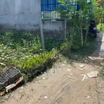 Bán đất thổ cư sổ hồng riêng 82m2 giá 450 triệu tại Cần Giuộc, Long An - Ảnh thu nhỏ 2