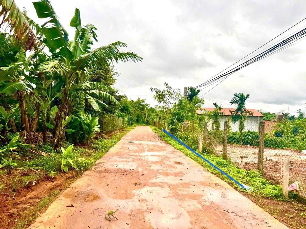 Bán đất thổ cư 60m² view hồ Đắk Lắk, giá 289 triệu - Ảnh thu nhỏ 3